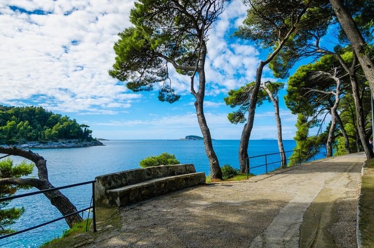 Pine-shaded coastal path along the Rat Peninsula above the Adriatic in Cavtat