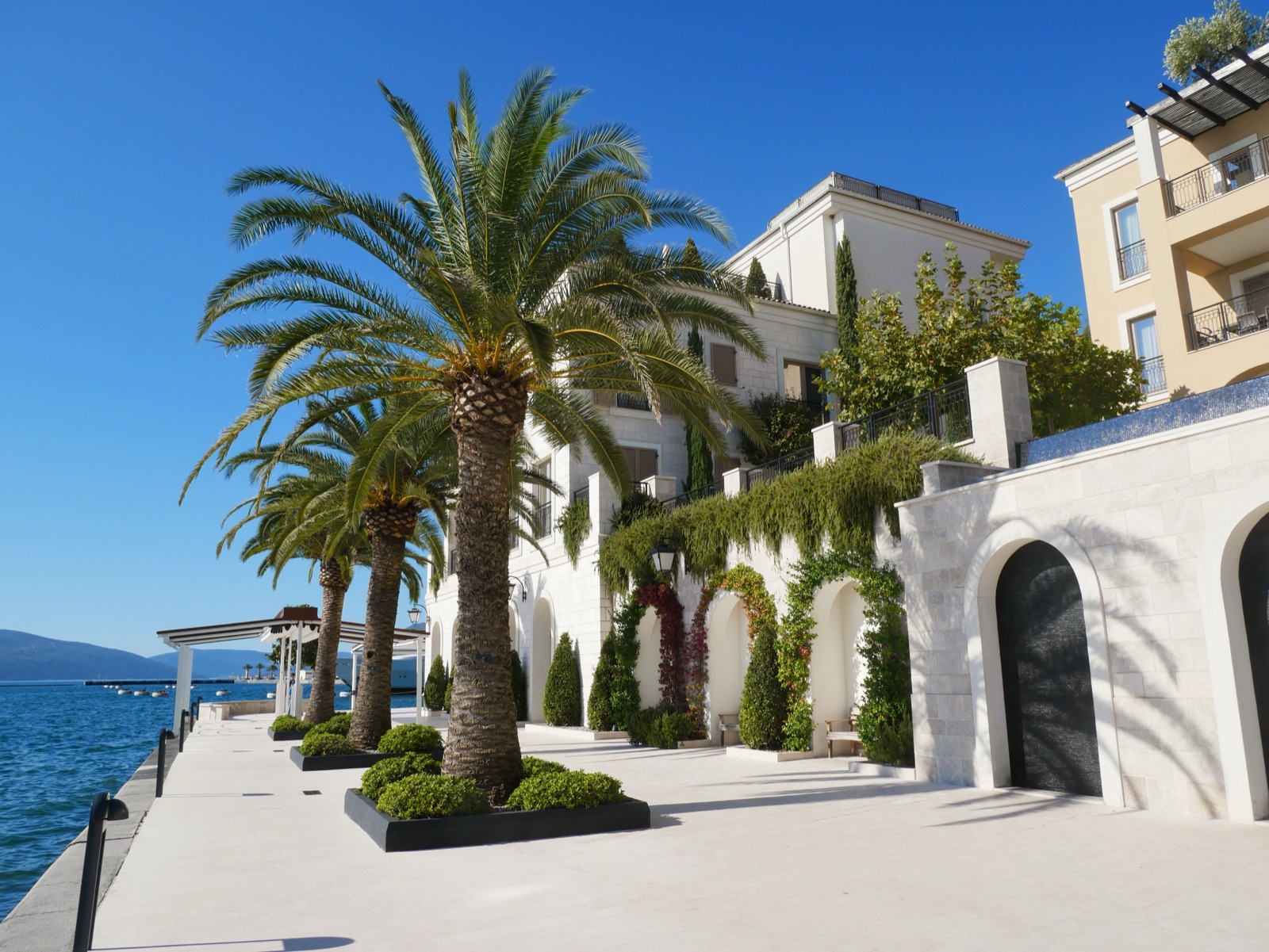 Palm trees and white stone buildings along the waterfront promenade at Porto Montenegro in Tivat