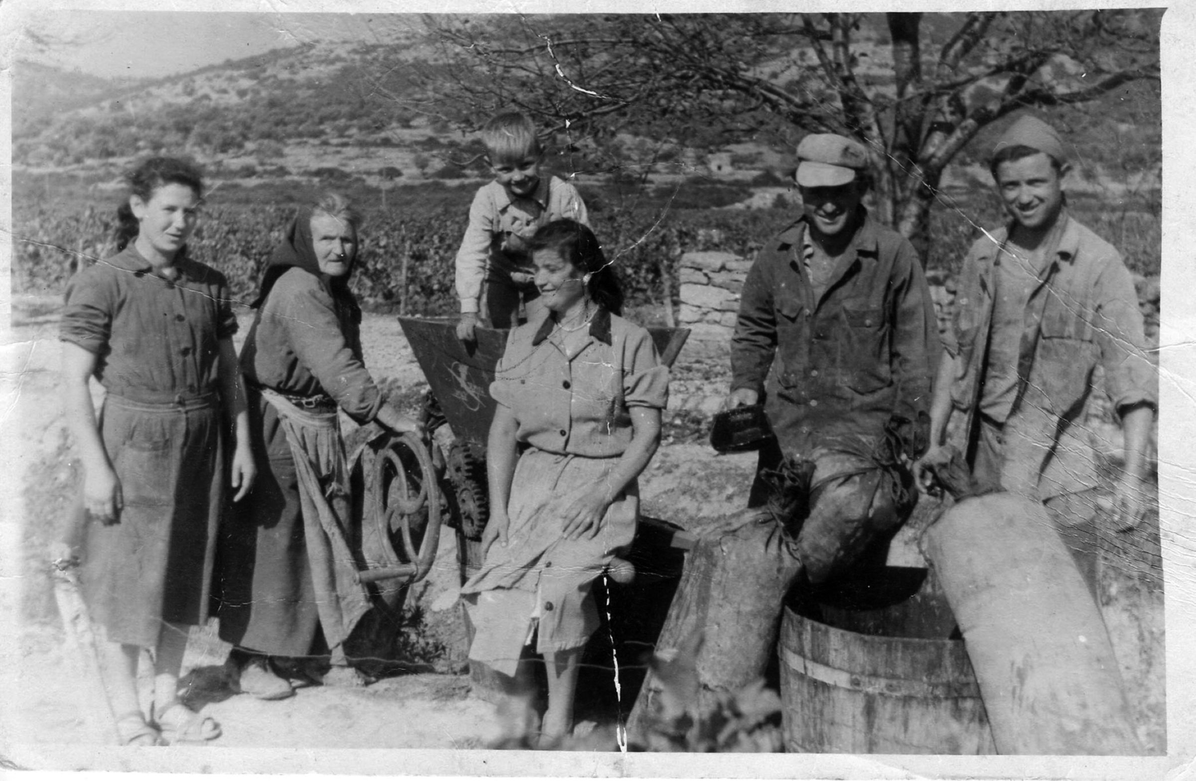 Saints Hills winery stone building on Pelješac — one of Croatia's finest wine estates