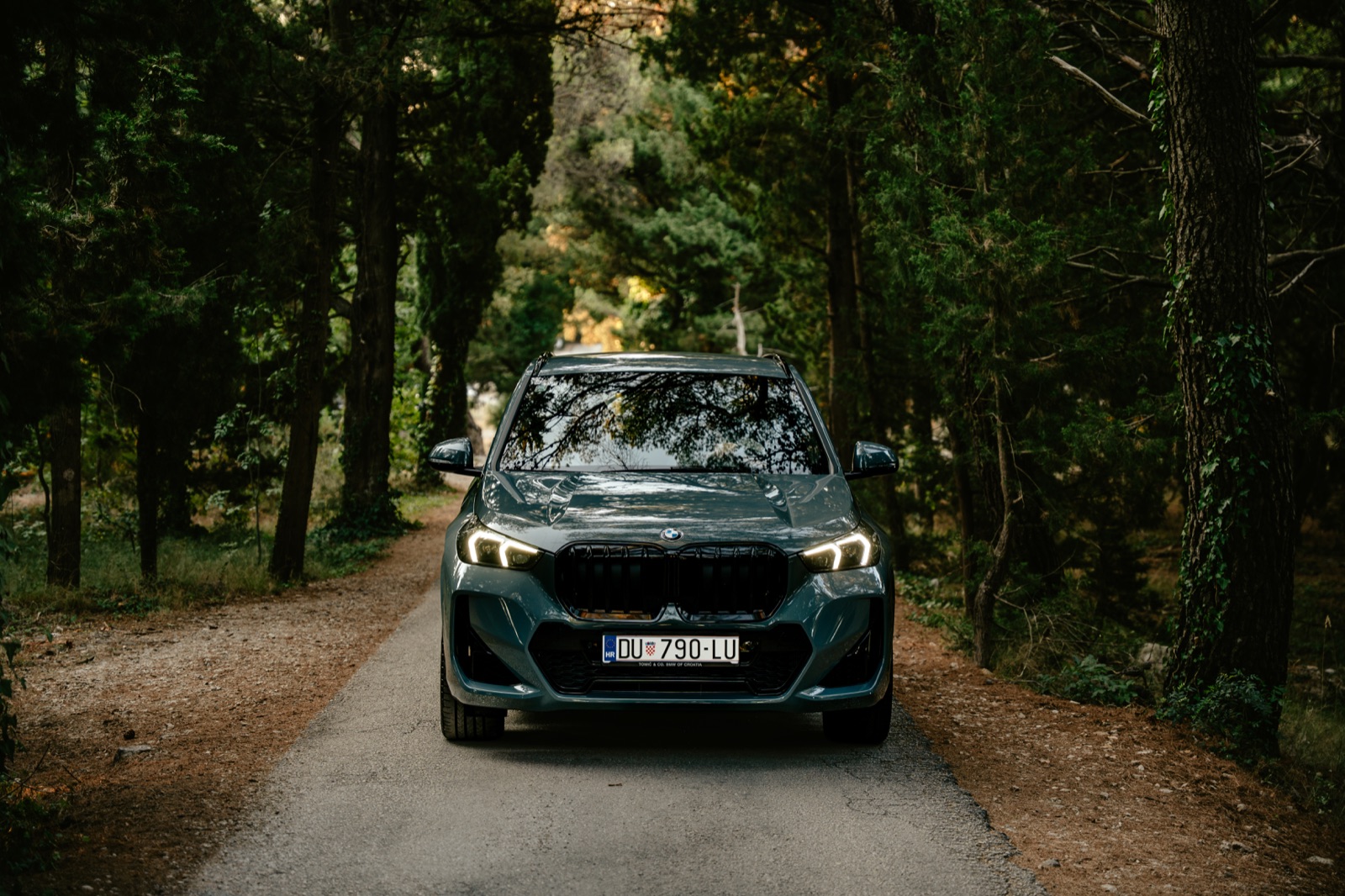 A dark grey BMW X1 rental car with its headlights on, driving down a pine-lined gravel road