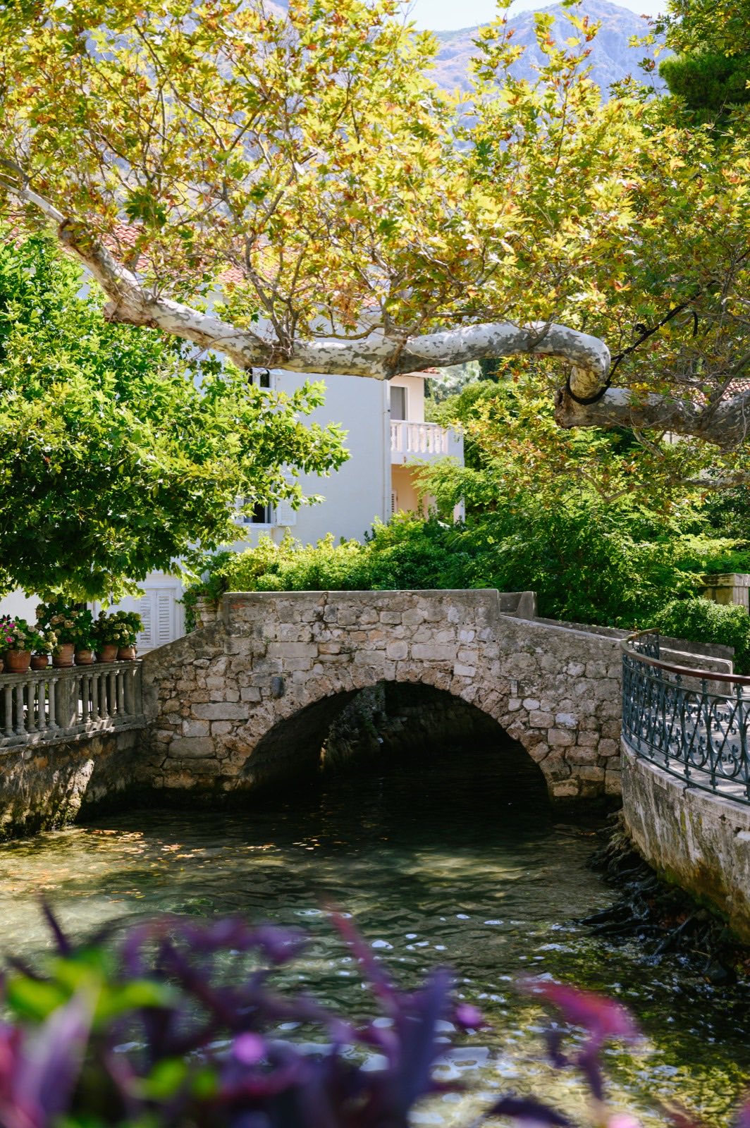 An old stone bridge over a clear stream shaded by plane trees in Mlini